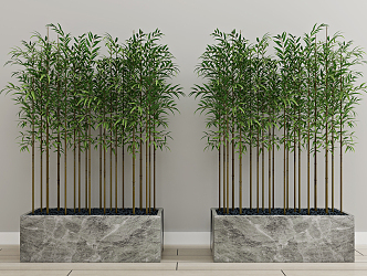 Modern bamboo green plant potted plant 3d model