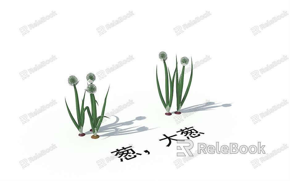 Modern Onion Crops Vegetable Onions model