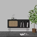 Black Entryway Console Cabinet With Rattan Woven Panel Metal Legs Books And Green Plant
