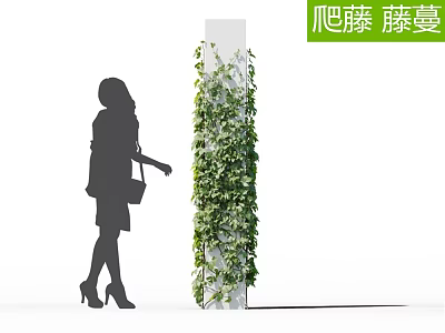 Climbing Vines Covering White Pillar With Woman Silhouette In Background 3d model