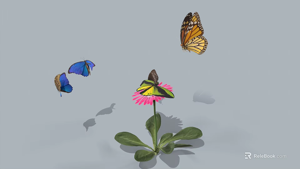 Different Colored Butterflies Flying Around Pink Flower With Green Leaves And Shadows 3d model 