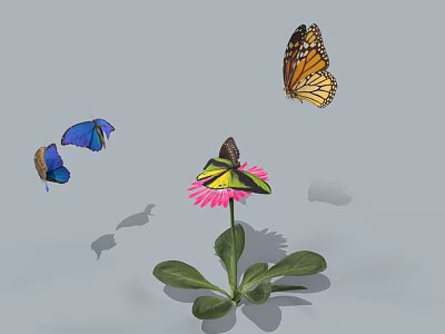 Different Colored Butterflies Flying Around Pink Flower With Green Leaves And Shadows 3d model