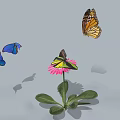 Different Colored Butterflies Flying Around Pink Flower With Green Leaves And Shadows