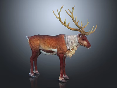 Reindeer with Large Antlers and Brown White Coat on Dark Background 3d model