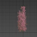 Climbing Vines With Pink Flowers Growing On White Pillar And Human Silhouette