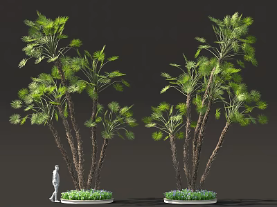 Tropical Plants With Green Fronds Brown Trunks And Base Greenery Size Reference 3d model
