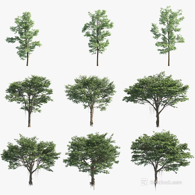 Multiple Arbor Varieties Featuring Lush Green Foliage And Distinct Canopy Shapes 3d model