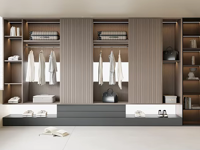 Modern Wardrobe Interior Design With Wooden Hanging Rails Shelves And Storage Drawers 3d model