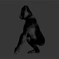 Realistic 3D Gorilla Model Digital Render With Sitting Pose And Gray Background 3d model