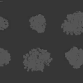 Collection Of Various Arbor Trees With Seasonal Foliage Isolated On White Background