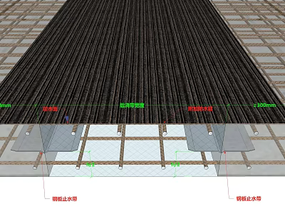 Reinforced Bar And Steel Plate Waterstop Construction Structure Sectional View With Dimensions 3d model