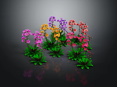 Colorful Potted Orchids With Green Leaves On Dark Background And Reflections 3d model