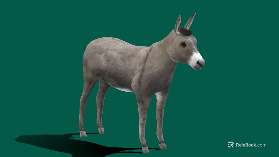 Realistic Gray Donkey Standing Isolated On Green Background With Shadow 3d model 