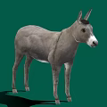 Realistic Gray Donkey Standing Isolated On Green Background With Shadow 3d model