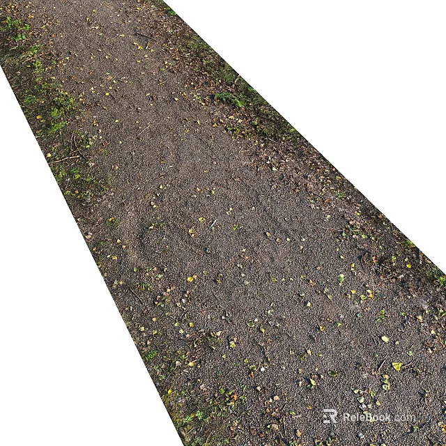 Garden Path Paving with Gravel Soil Fallen Leaves and Green Plant Borders 3d model 