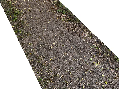 Garden Path Paving with Gravel Soil Fallen Leaves and Green Plant Borders 3d model