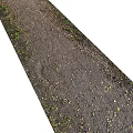 Garden Path Paving with Gravel Soil Fallen Leaves and Green Plant Borders
