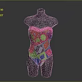 Colorful One Piece Swimsuit With Geometric Patterns On Black Mannequin