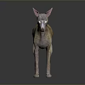 3D Model of Italian Greyhound Dog Standing on Shiny Floor with Dark Background