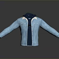 Blue Denim Hooded Jacket With Fleece Lining And Button Closure Design 3d model