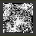 Black and white 3D mountain landscape with tree branch like texture and natural terrain pattern