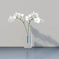Transparent Square Vase With White Orchids On Gray Countertop And Light Gray Wall With Reflection