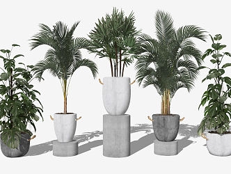 modern potted plant green plant potted plant 3d model