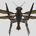 Fantasy Insect 3D Model Featuring Large Wings Green Eyes Red Brown Body And Long Legs