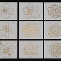 Gray Background Wall With Various Flower Sketches Arranged In Grid Pattern 3d model