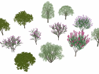 Various Types of Trees with Different Shapes and Purple Flowers for Landscaping 3d model