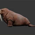 Pink Walrus 3D Model With Long White Tusks On Dark Background