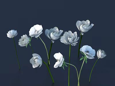 Elegant White Flowers in Vase with Green Stems on Dark Blue Background 3d model