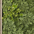 Living Plant Wall With Vertical Slats For Modern Interior Design 3d model