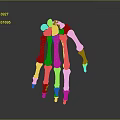 Hand Skeleton Anatomical Model Showing Detailed Bone Structure And Joint Components 3d model