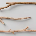 Natural Dry Brown Branches Scattered On Green Background For Decorative