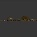 Collection of Various Wood and Stone Samples Featuring Natural Textures and Shapes