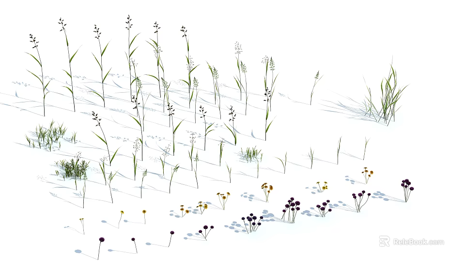 Diverse Wildflowers And Grasses In Natural Meadow With Small Blooms And Varied Heights 3d model 