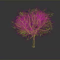 Isolated Tree With Vibrant Green Leaves And Brown Trunk In Gray Background