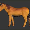 Orange Horse Sculpture With Red And Black Mane On Dark Background With Reflection