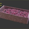 Juicy Fresh Ripe Red Raspberries in a Brown Cardboard Box Container