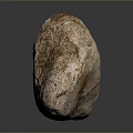 Brown White Textured Natural Stone and Wood Like Surface with Black Background Reflection