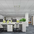 Modern Public Office Space With Desks Computers Green Partitions Ceiling Lights And Potted Plant