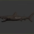 Light Brown 3D Modeled Shark with Open Mouth and Distinct Fins on Smooth Dark Background