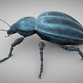 Blue Flying Beetle 3D Model With Metallic Legs And Long Antennae 3d model