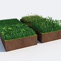 Various Green Plants Growing On Square Soil Blocks With Different Grass Types 3d model