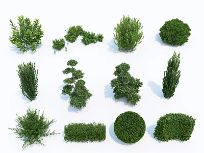 Various Types of Green Shrubs with Different Shapes and Foliage 3d model