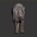3D Rendered Realistic Elephant Standing With Detailed Texture On Gray Background