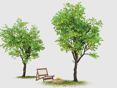Courtyard Garden With Two Fruit Trees Wooden Chair And Grass Ground 3d model