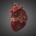 3D Heart Model Medical Device for Anatomical Education and Surgical Planning