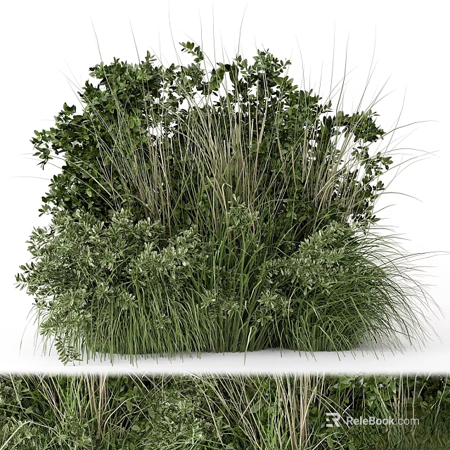 Diverse Green Plants Arrangement With Mixed Grasses And Leafy Shrubs 3d model 